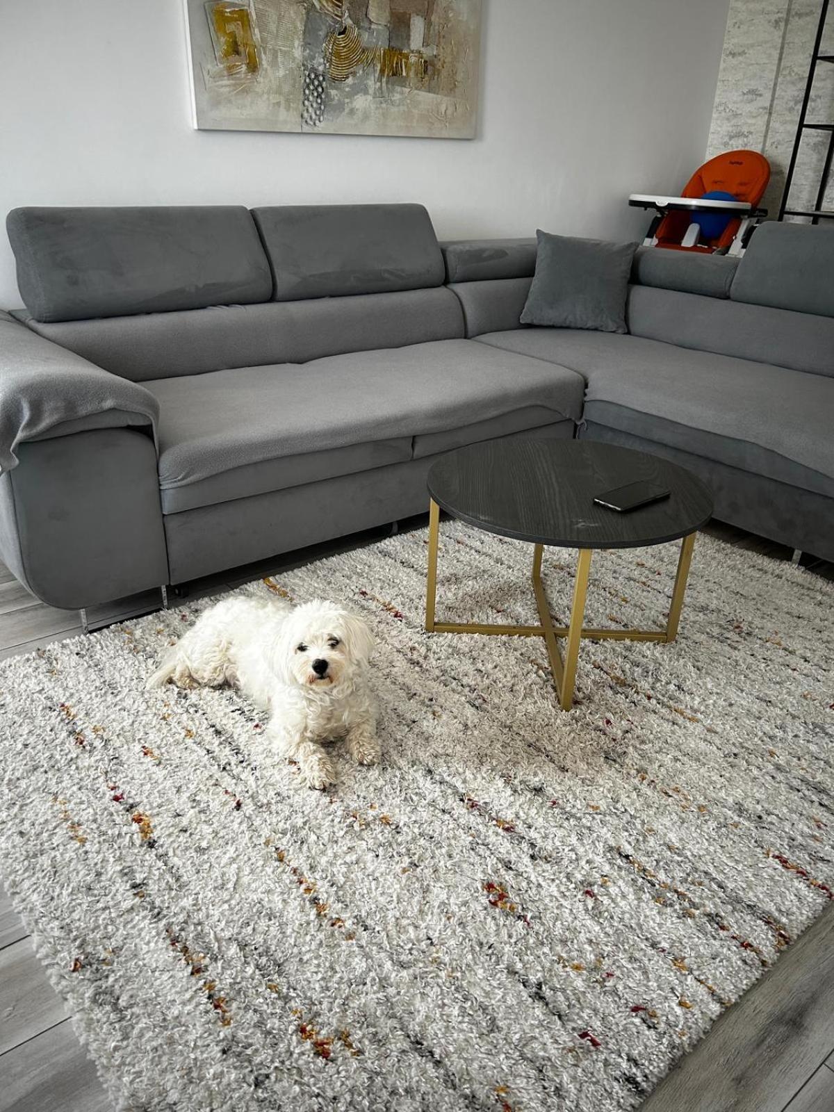 Mabu Apartment Braşov Eksteriør bilde